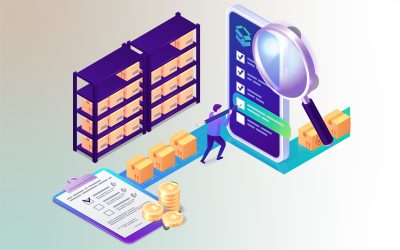 Stok Son Giriş Fiyatları Sorgusu (TL ve Döviz Detaylı)